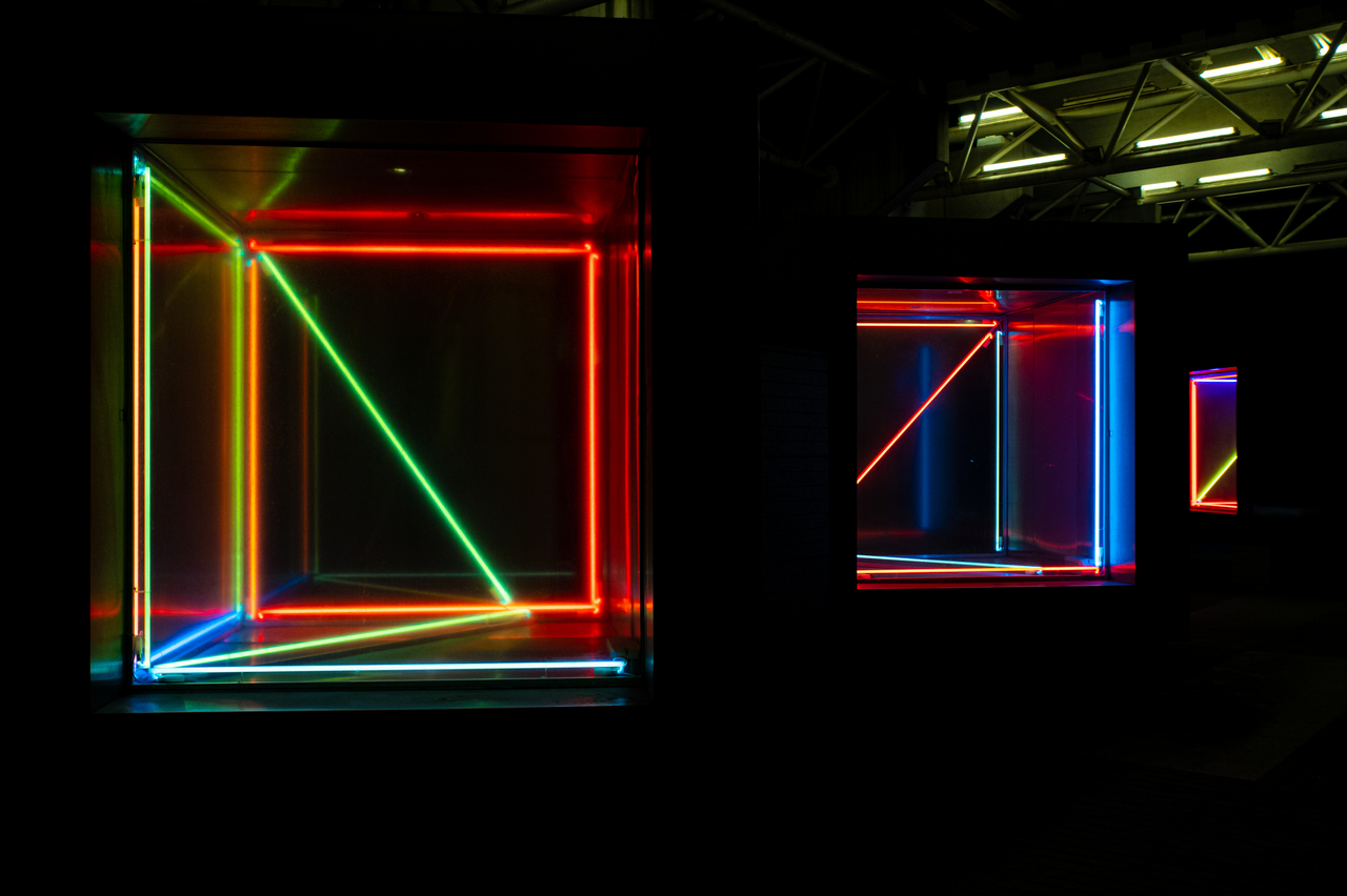 SHAPE - A linha da história foge à linha do tempo