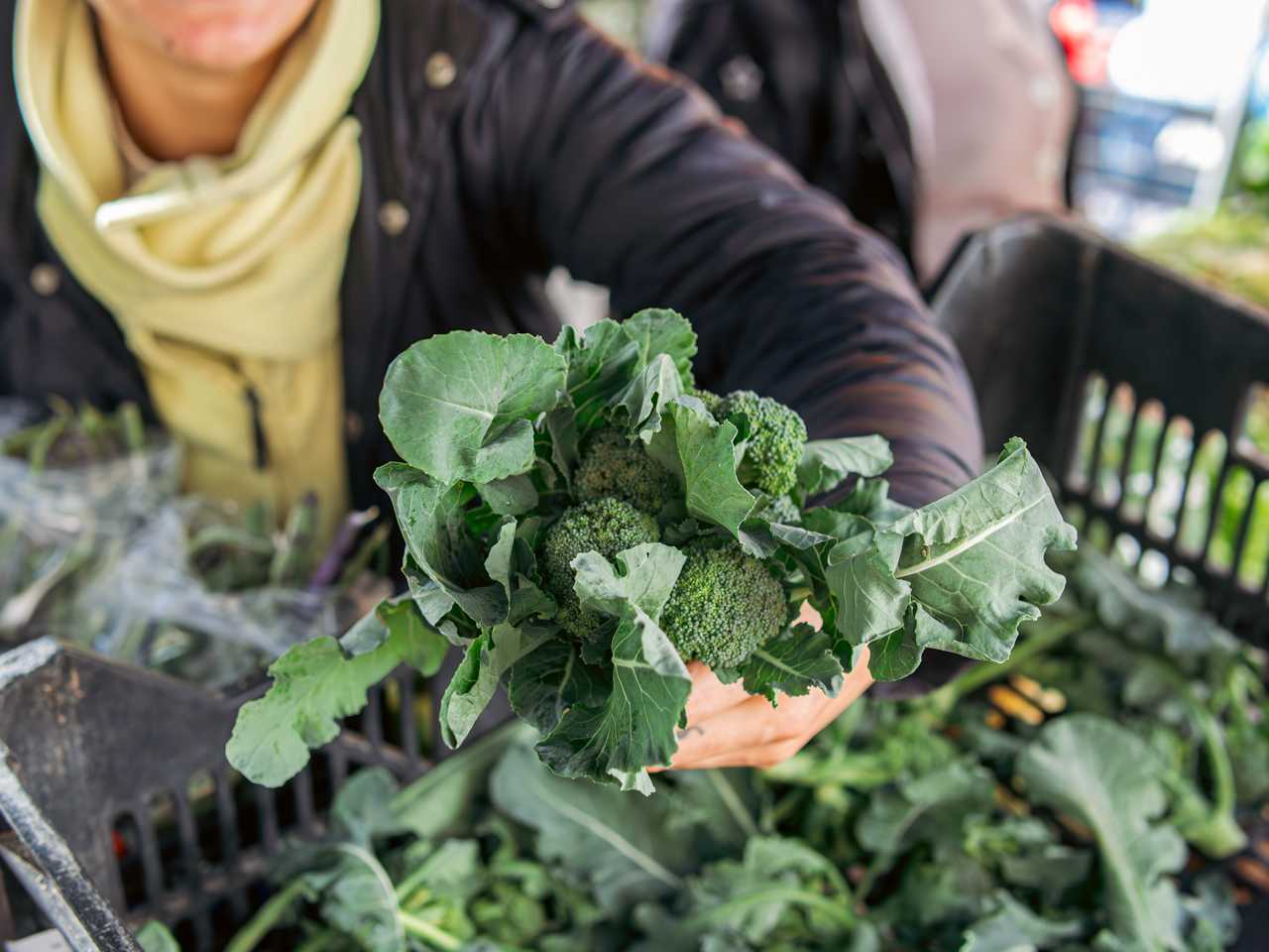 Feira de Pedras Rubras
