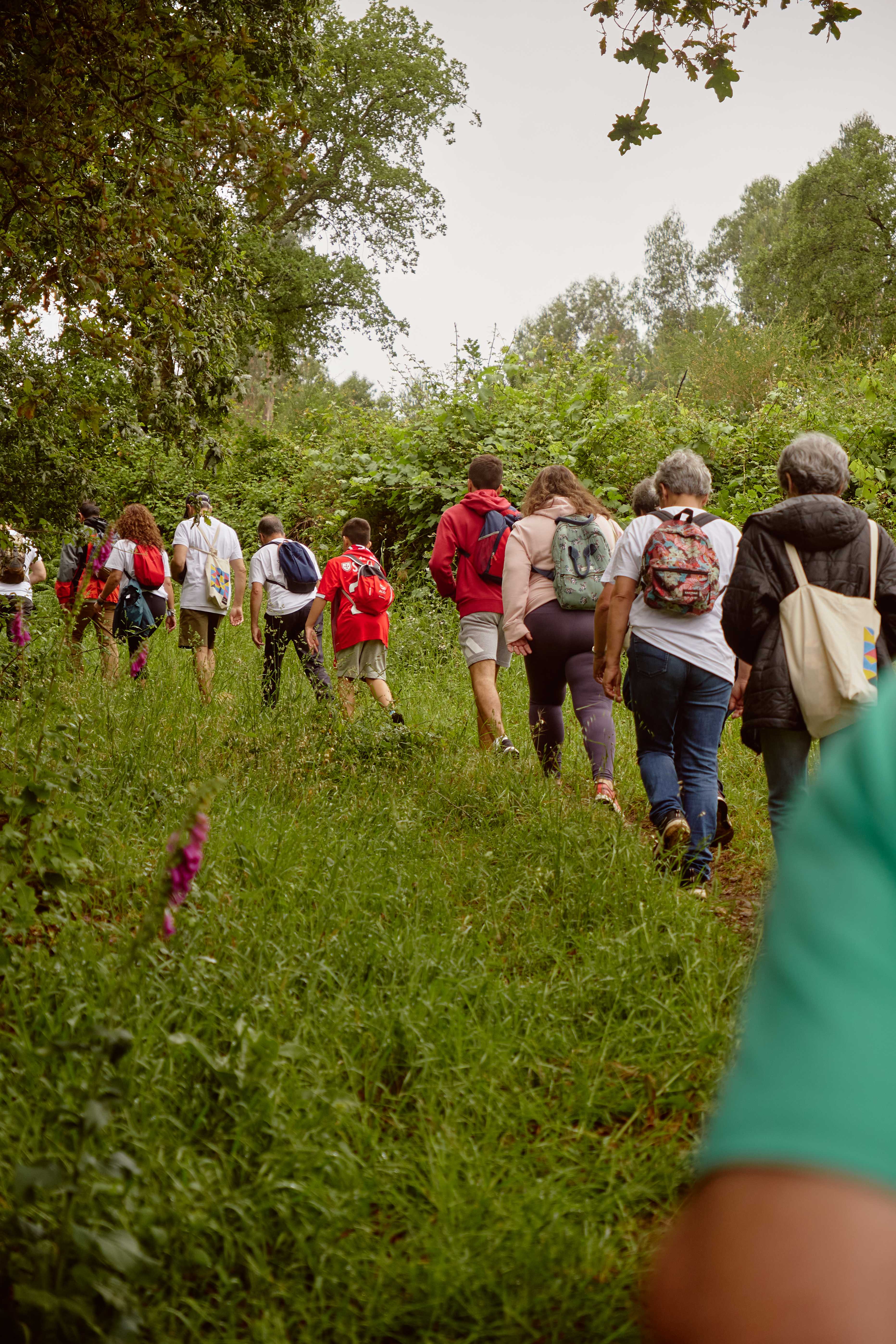 Percursos na Maia PR4- Lugares no Alto de Folgosa e S. Pedro Fins