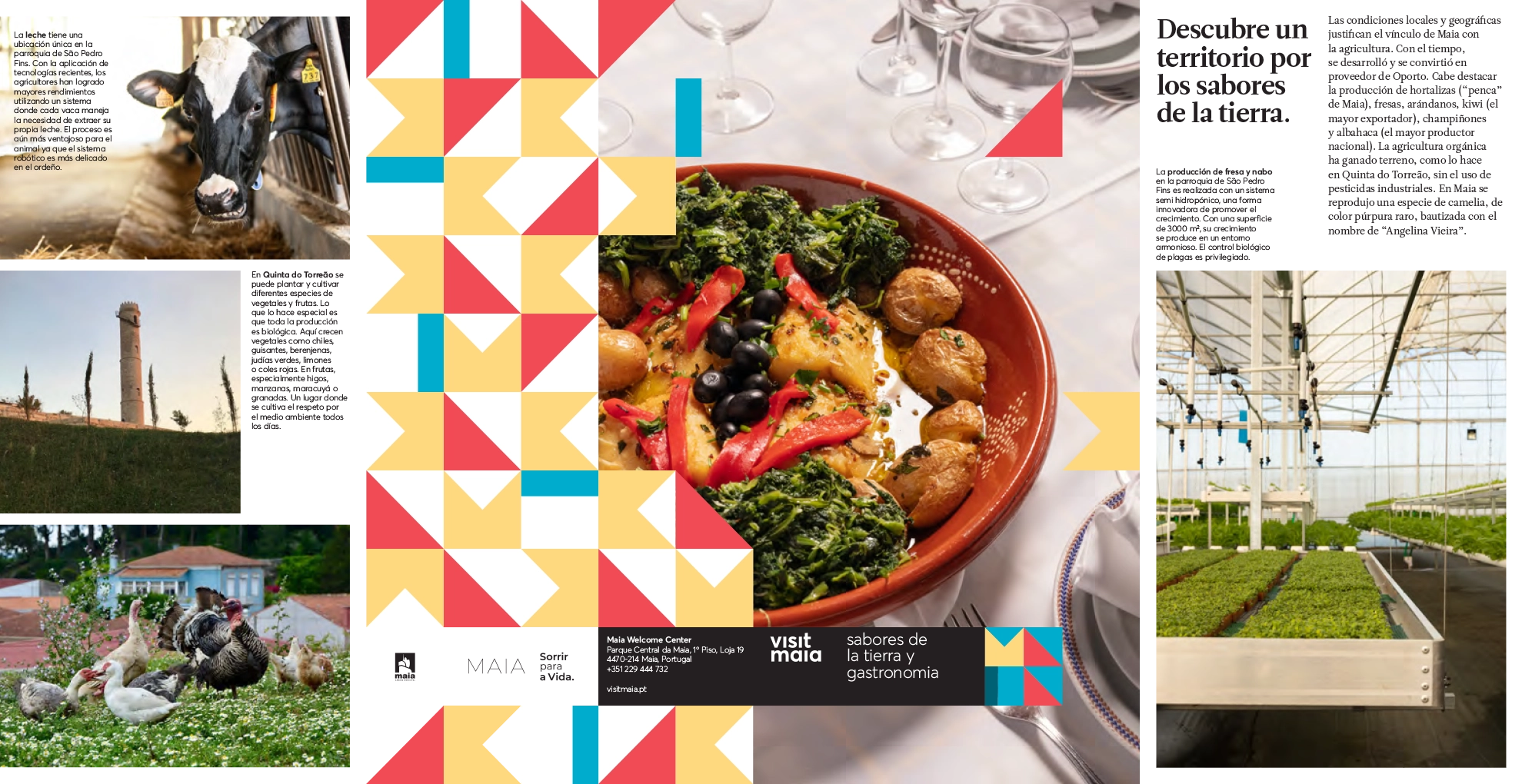 VisitMaia Sabores