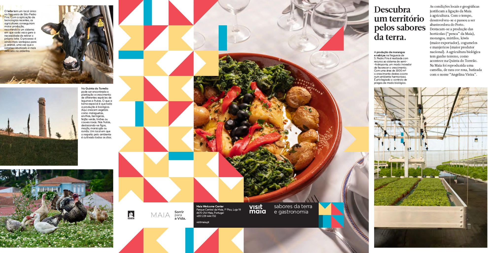 VisitMaia Sabores